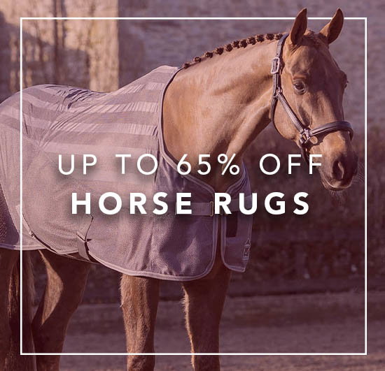 Summer Sale For Horse > SHOP ALL RUGS
