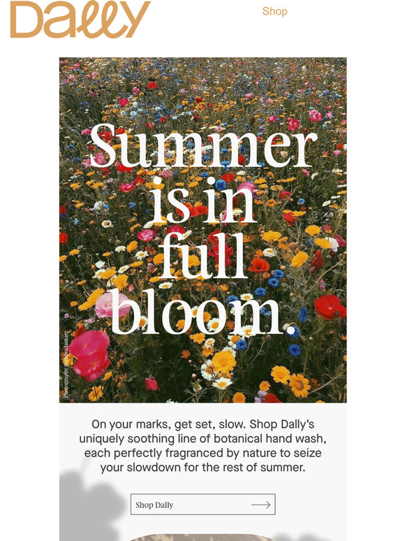 Summer is in full bloom