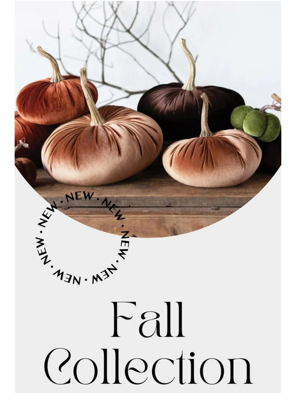Fall Collection Drop