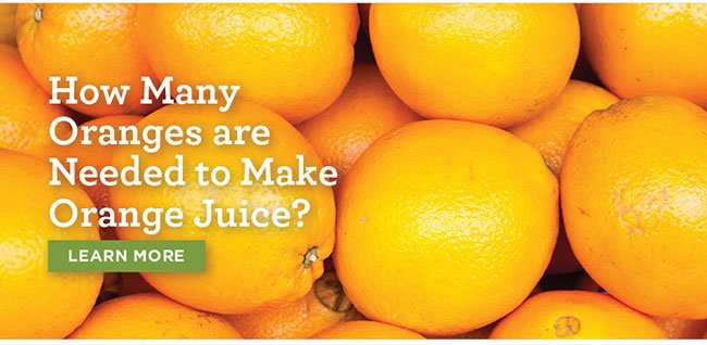 How Many Oranges are Needed to Make Orange Juice?