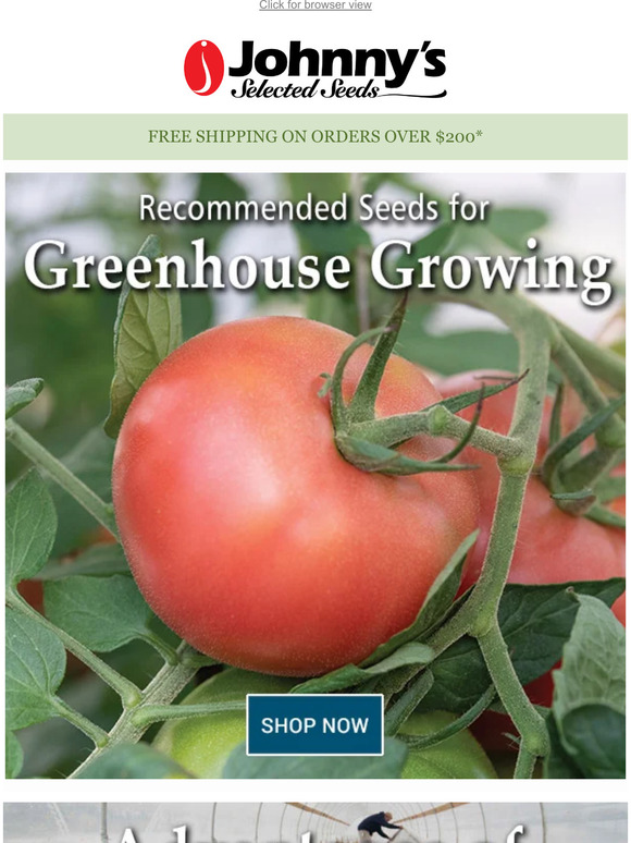 The Best Varieties for the Greenhouse Milled