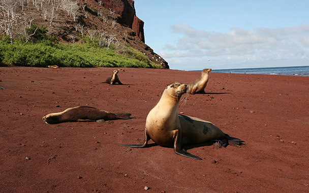 Best of Ecuador & Galapagos