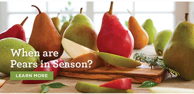 When are Pears in Season?