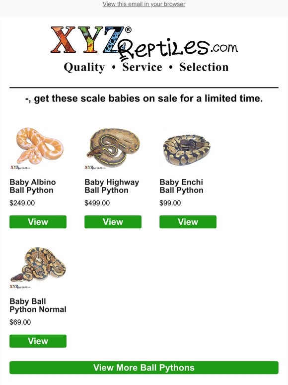 Ball Pythons, Boas, Tortoises, Lizards & More On Sale