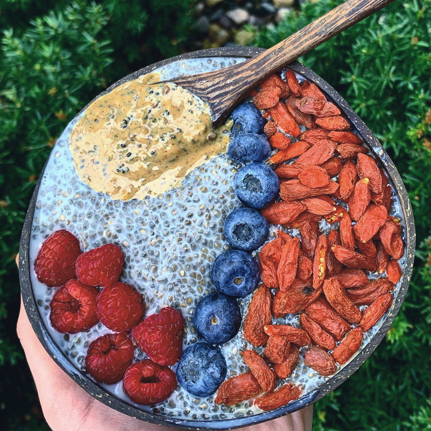 Vanilla chia Seed Pudding