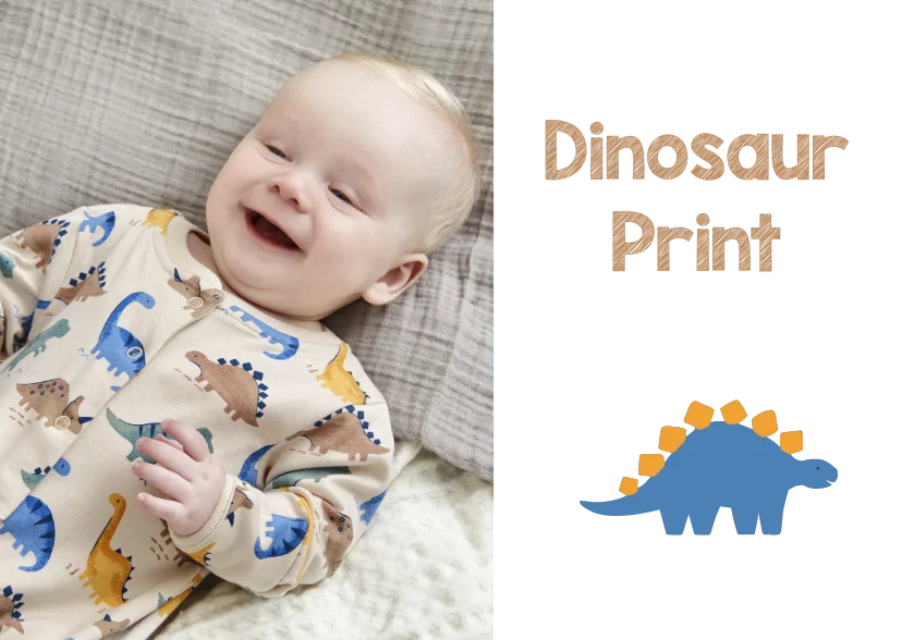 Stone Dinosaur Print Sleepsuit