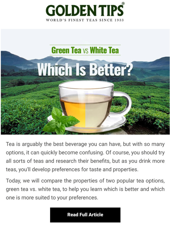 Golden Tips Tea White Tea vs Green Tea Which one is better? Milled