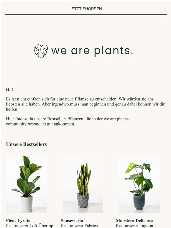 Unsere Bestseller 🌵💚