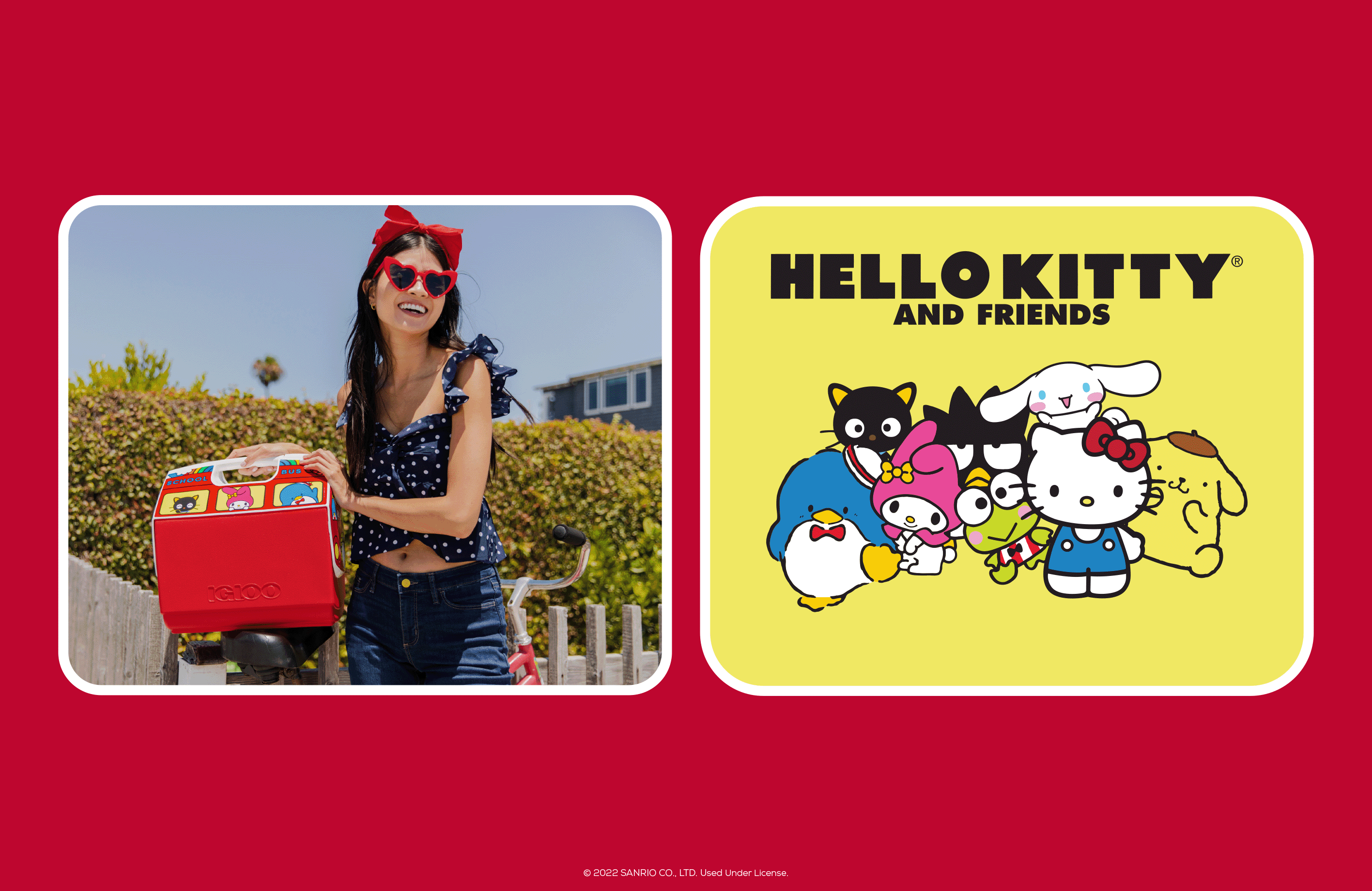 Hello Kitty Sanrio Collection