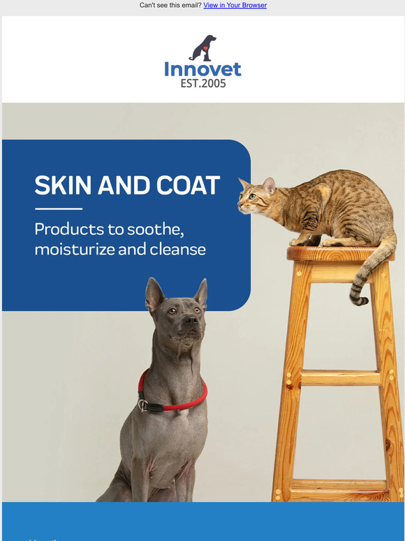 Boost Your Pet’s Skin and Coat Health
