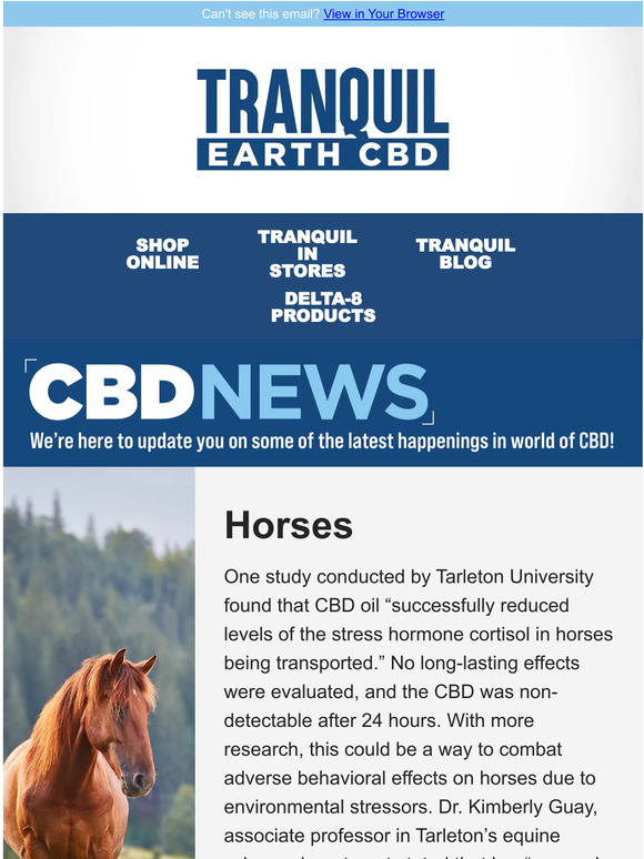 🗞 News alert!