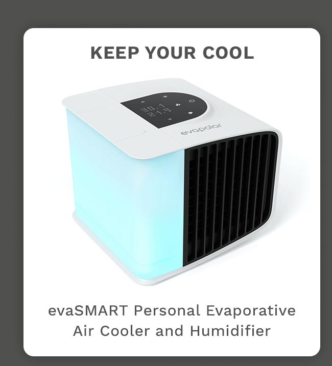 evaSMART Personal Evaporative Air Cooler and Humidifier