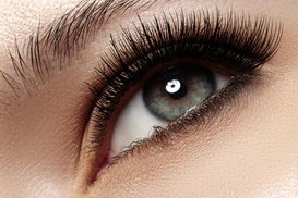 Up to 53% Off on Eyelash Extensions at Allure Lash Bar
