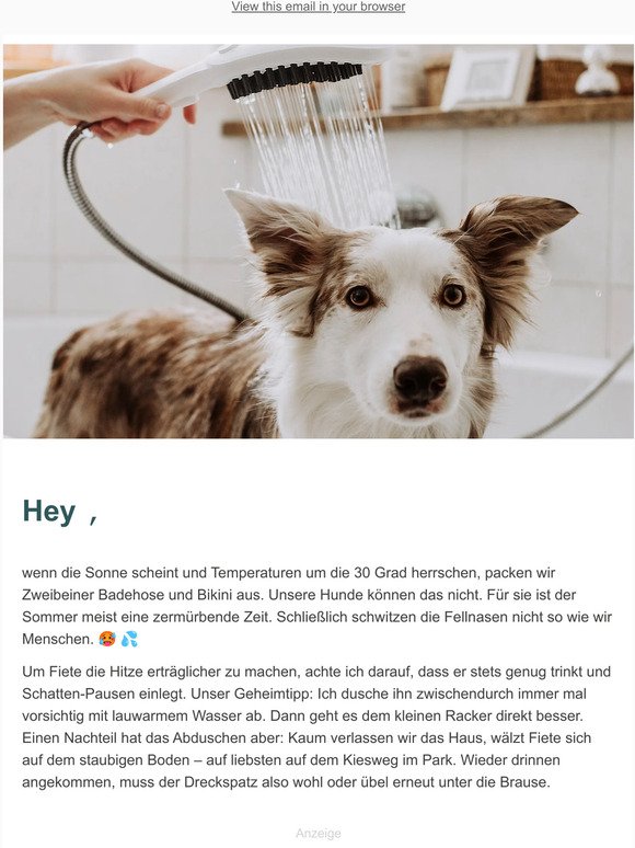 DogShower: Entspannte Hundewäsche garantiert! 🐶 🚿