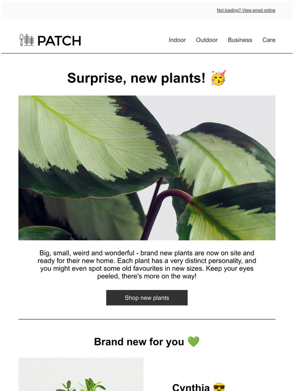 Patch Plants New plants have arrived 😍 Milled