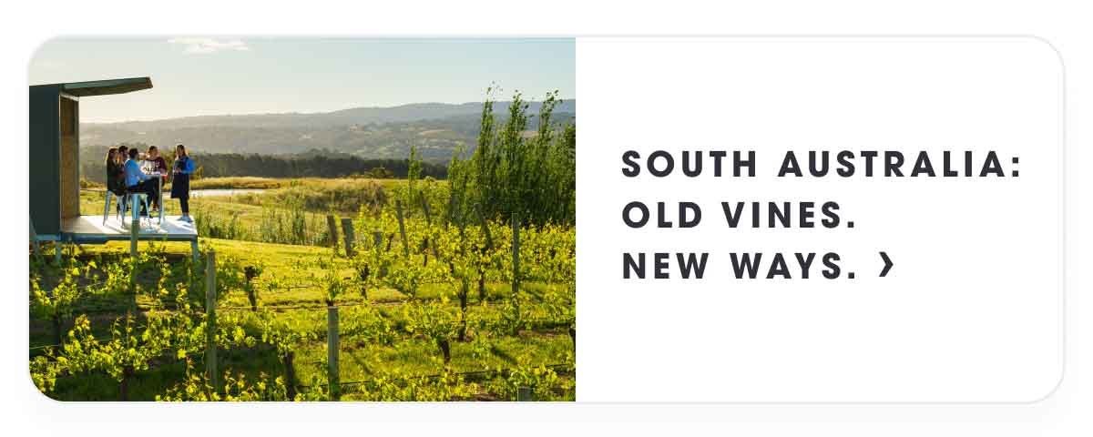 South Australia: Old Vines New Ways.