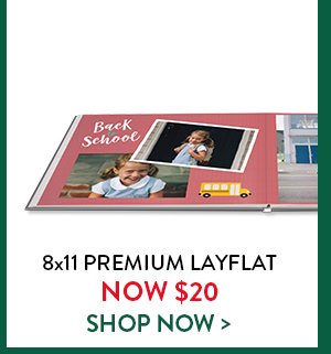 8 by 11 premium layflat now twenty dollars. Click to shop now.