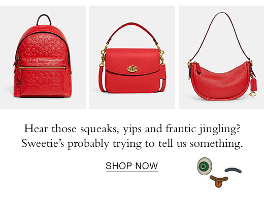 SHOP NOW