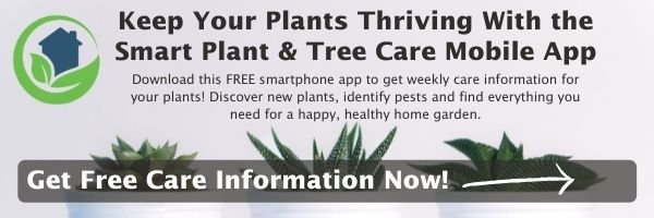 Smart Plant & Tree Care