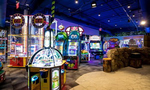 Great Wolf Lodge Water Park Resort in Virginia