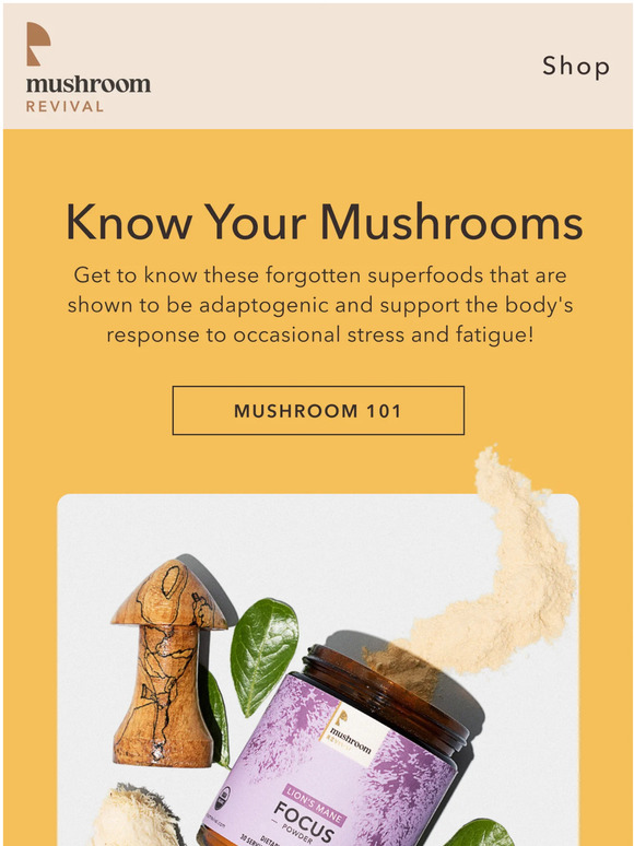 Mushroom Revival Get to Know Your Shrooms Milled