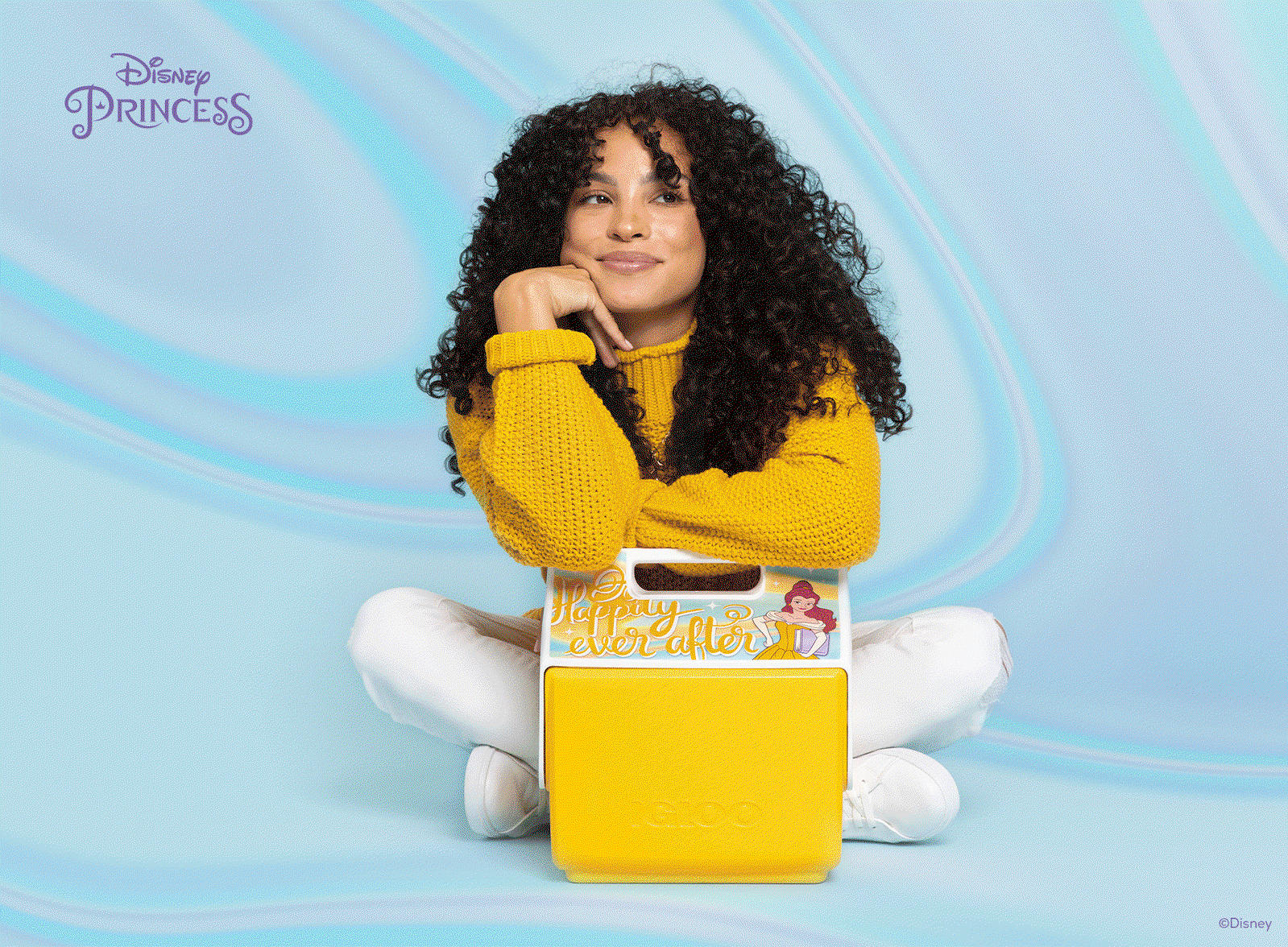 Disney x Igloo Playmate Collection