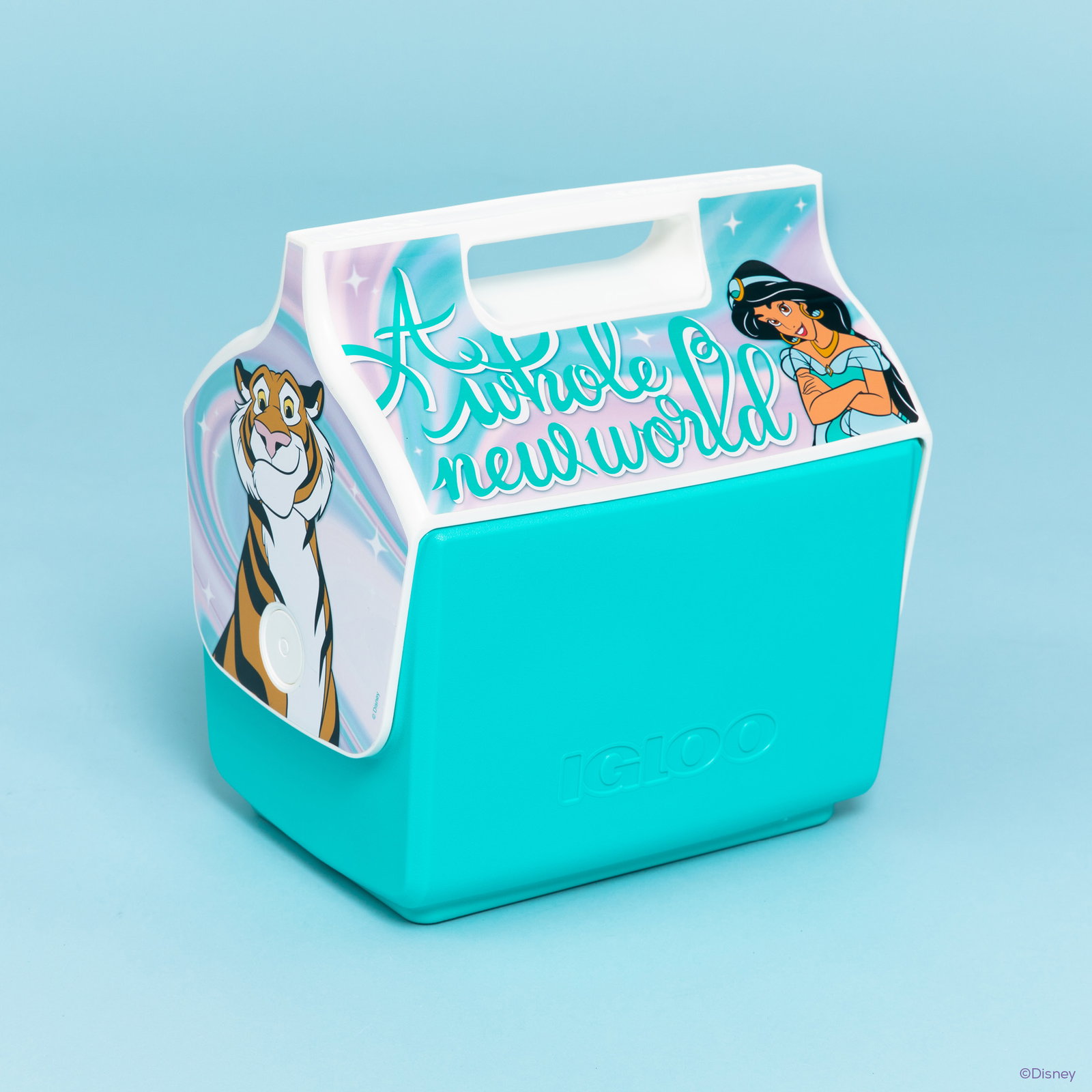 Disney Princess Jasmine Little Playmate 
