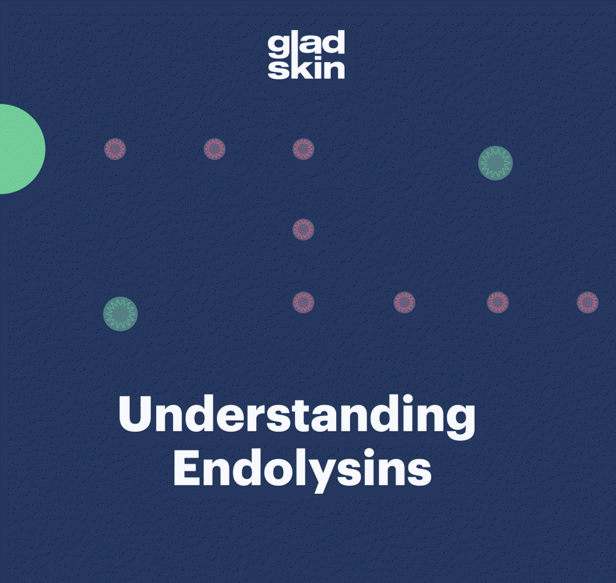 Understanding endolysins