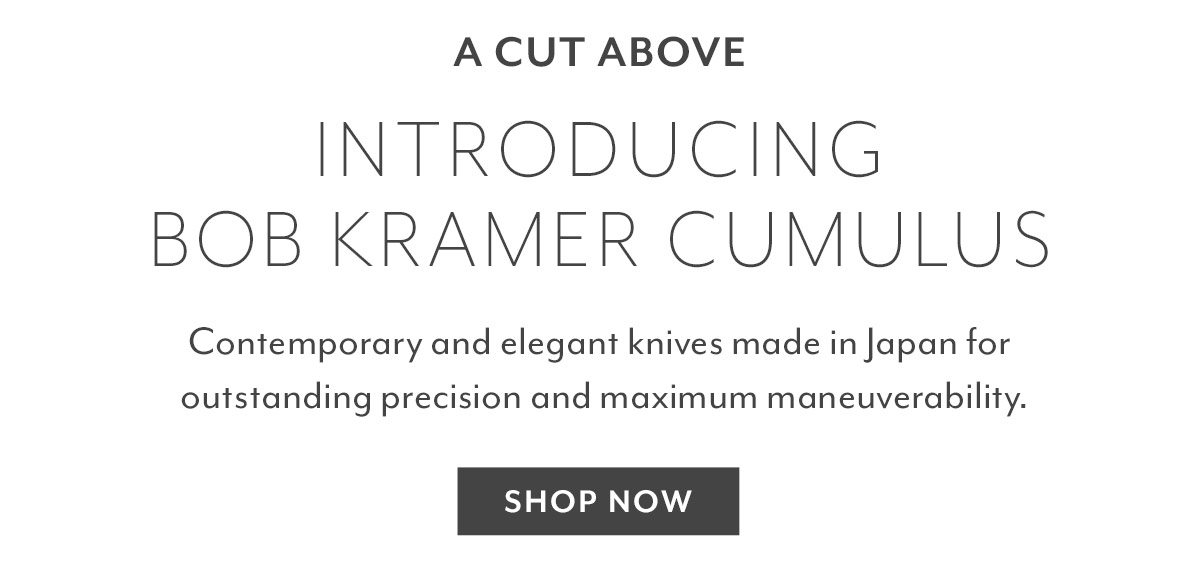 Bob Kramer Cumulus 6 Chef Knife, White