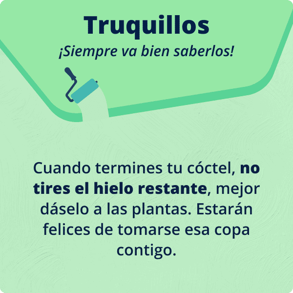 ¿A tus zapatos le falta brillo? Límpialos con esta mezcla: ¡1 cucharadita de bicarbonato y 1 vaso de leche! A continuación, frota con un cepillo de dientes.