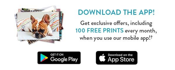 Download the app! | Get exclusive offers including 100 free prints every month when you use our mobile app | Get it on Google Play | Download on the App Store
