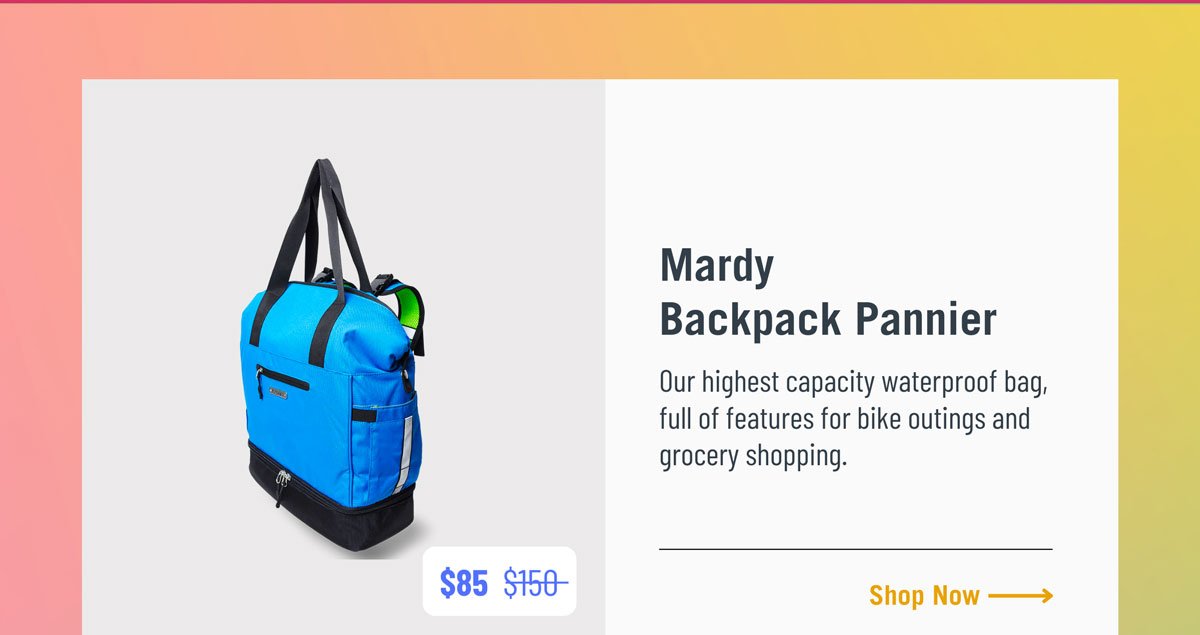 Mardy backpack pannier.  $85.