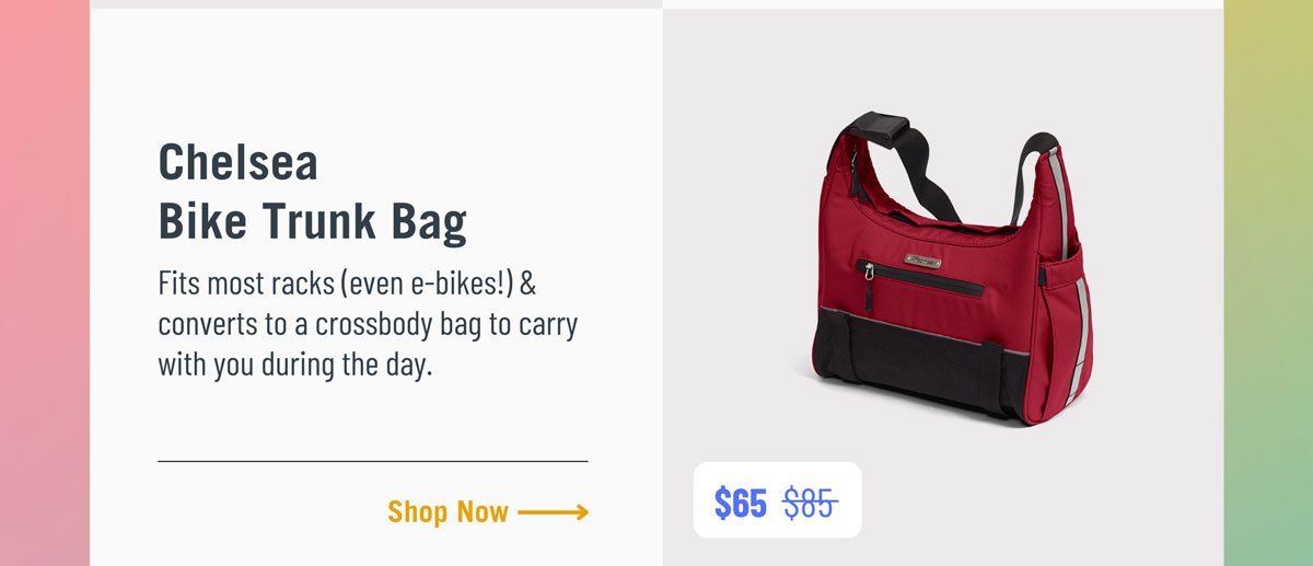 Chelsea bike trunk bag. $65.