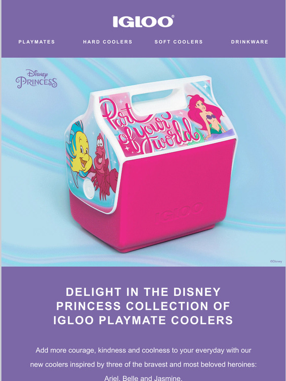 The Disney Princess Collection of Igloo Playmate