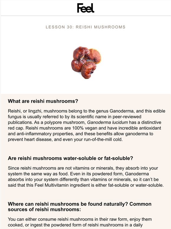 Learn About Reishi Mushrooms in 5 Minutes - The Health Dossier with WeAreFeel