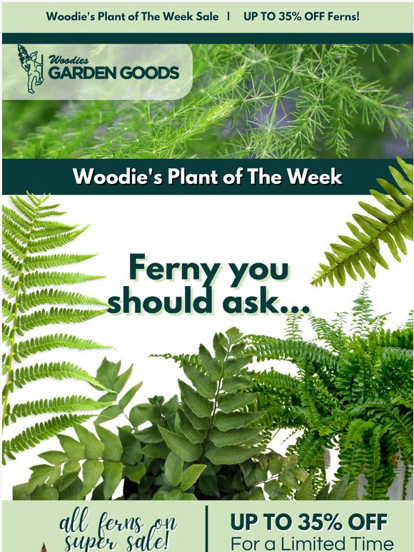 Garden Goods Direct What's Woodie's POTW? 🌿Ferny You Should Ask....🌿 Milled