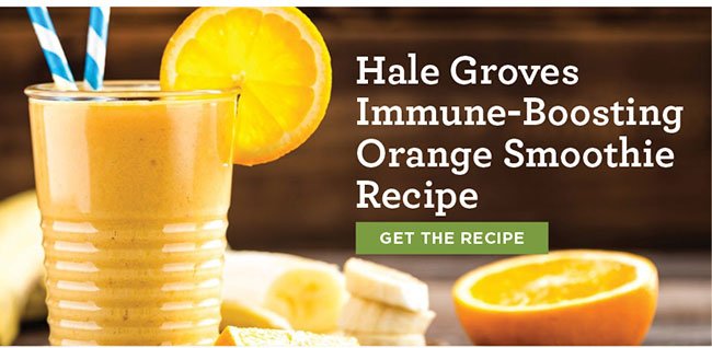 Hale Groves Immune-Boosting Orange Smoothie Recipe