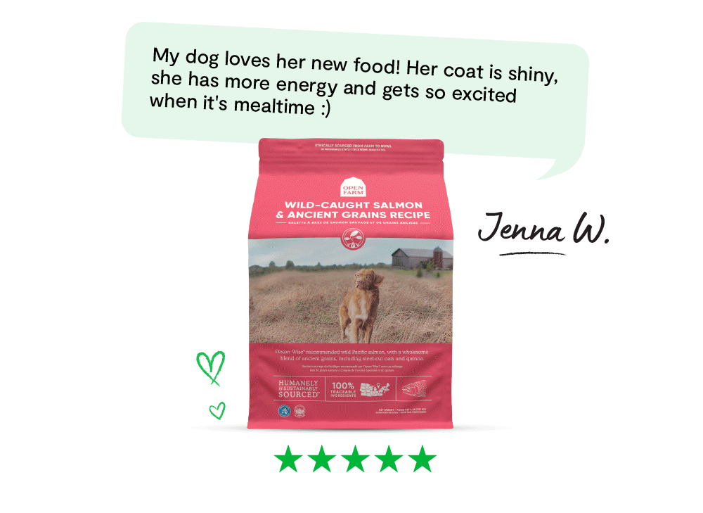 Open Farm Could your pup have a food allergy? Milled