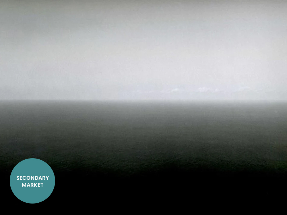 artrepublic Our Rare and HardtoFind collection is a mustsee for art enthusiasts Milled