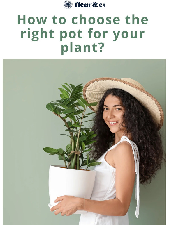 Which pot is right for my plants? 🌱🤔
