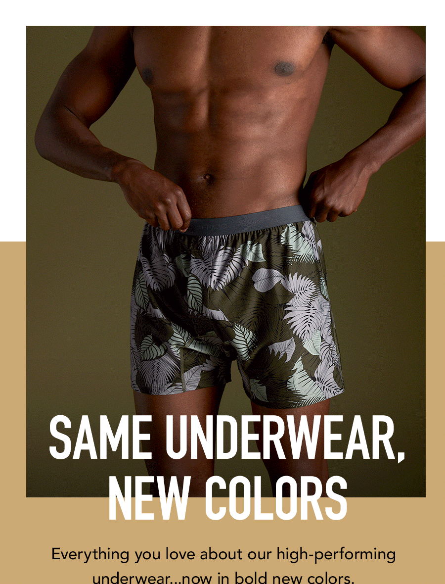 meet underwear 2.0