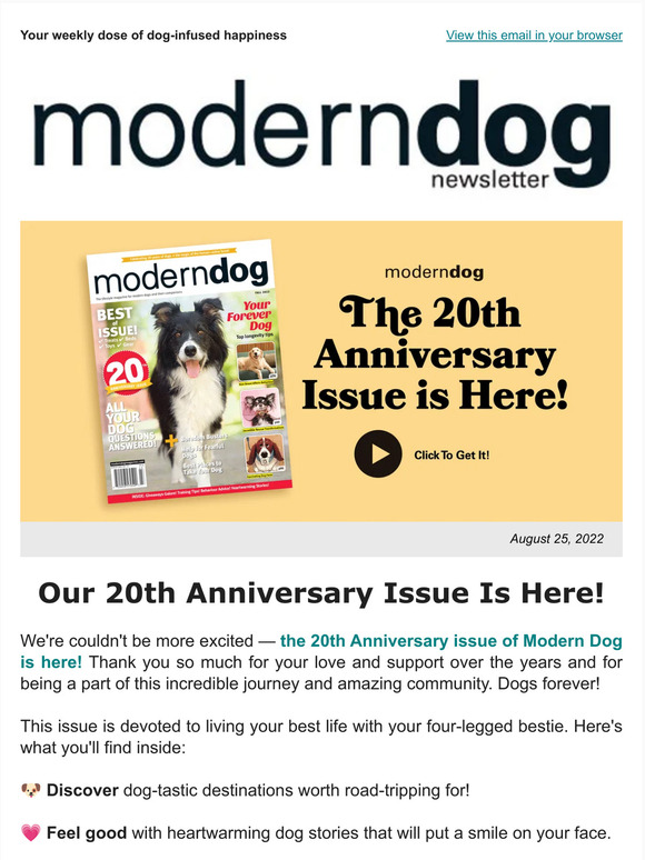 Yankee Doodle  Modern Dog magazine