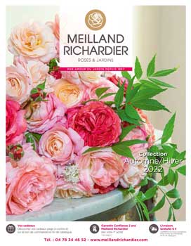 Meilland Richardier Catalogue 2022