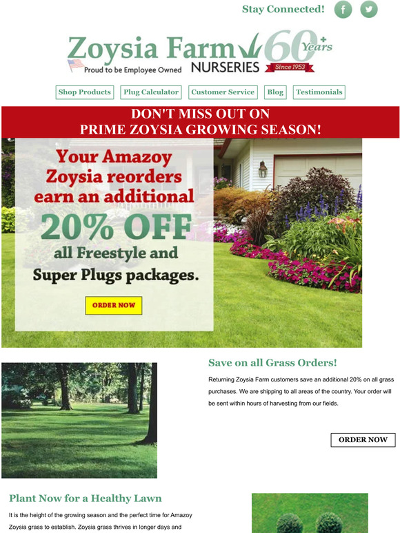 Zoysia Farms 20 OFF Zoysia Grass Plugs for Returning Customers Milled