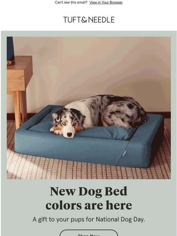 Tuft and Needle: Our bestselling Dog Bed in new colors | Milled