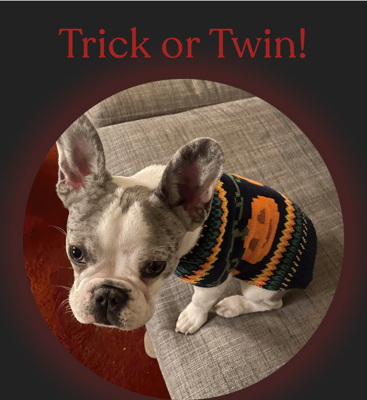 Trick or Twin!