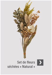 Set de fleurs séchées « Natural »