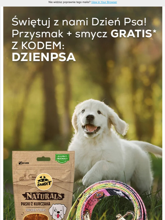 🎁 Prezent do zakupów! 🐶 Świętuj z nami DZIEŃ PSA  🙌