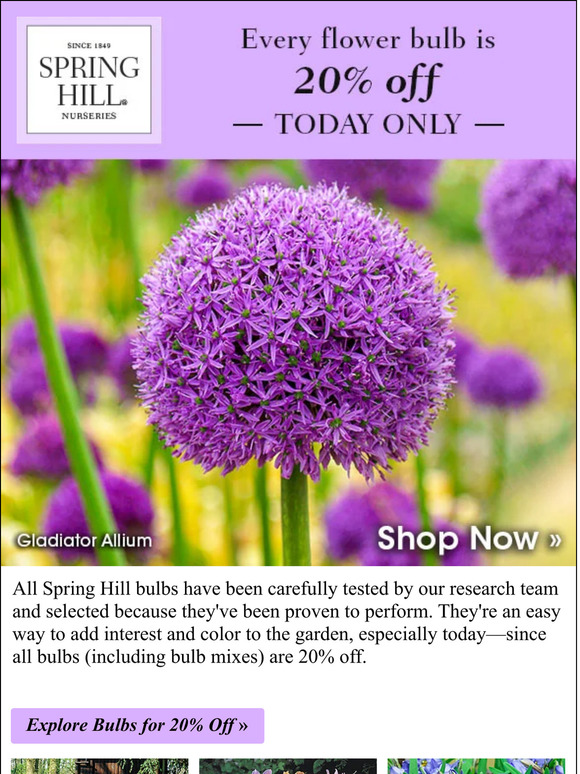 Spring Hill Nursery Great bulbs. Great deal. Milled