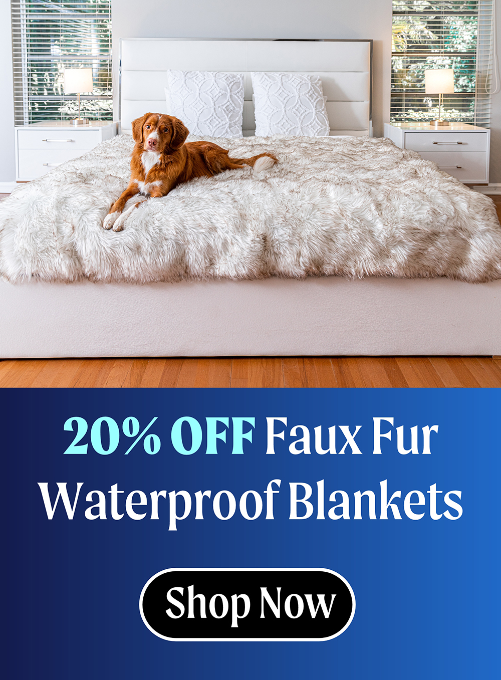 It's National Dog Day! 💙🐕 Milled